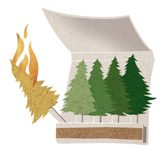 Illustration: Matchbook of evergreen trees and one tree catching fire