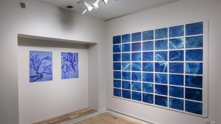 Kristiana Chan’s "Intertidal" prints and "Bodies of Water" cyanotype installation
