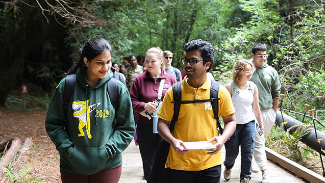 group of usf students hiking in muir woods