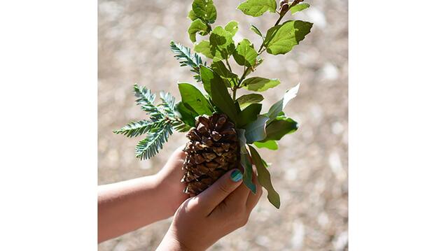 Read event detail: Guests on Indigenous Land: Opening night in the Sukkah with Rabbi Faryn Borella of Or Shalom