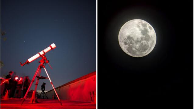 Read event detail: Astronomy Observation Nights