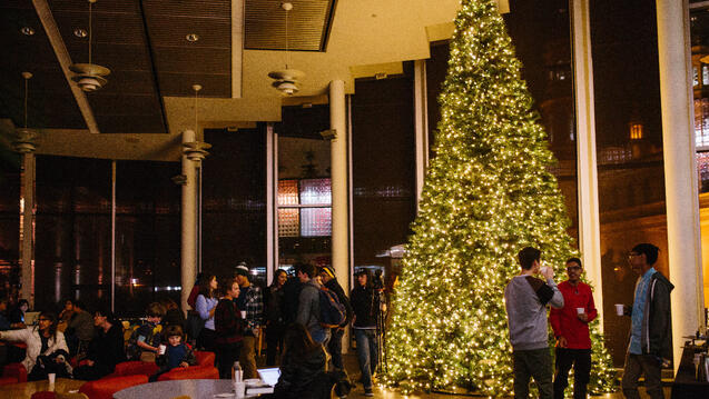 Read the story: USF Ushers in Holiday Season With Tree Lighting
