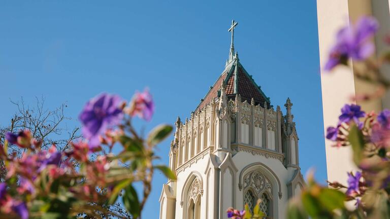 Tower at Lone Mountain and flowering bushes