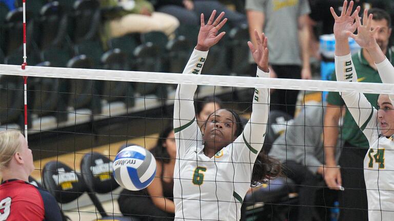 USF women&#039;s volleyball player