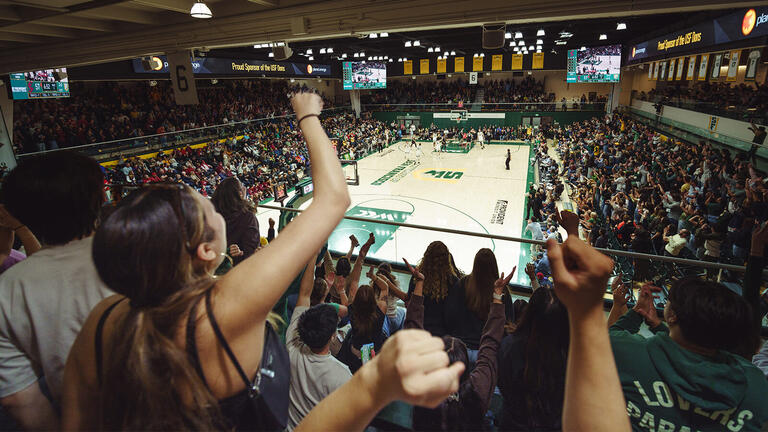 Students cheer at a USF basketball game
