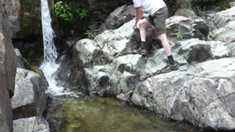 USF Associate Professor of biology Jennifer Dever and graduate student Ryan Peek research frog population decline