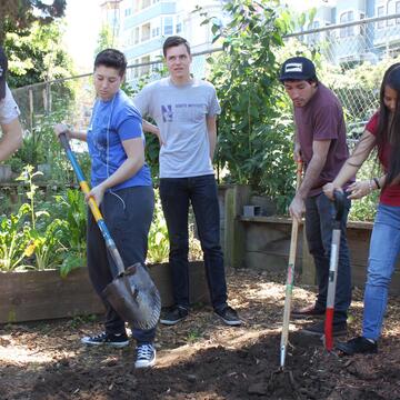 Small group of people dig in garden with shovels