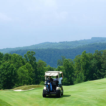 Golf cart parked in golf course