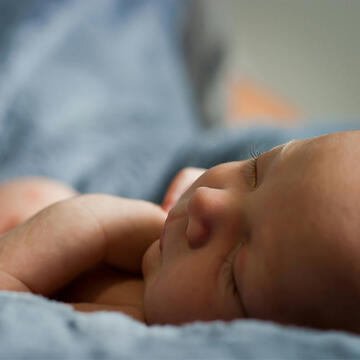 Newborn baby sleeping