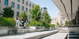 Three USF students study on steps on lower campus.